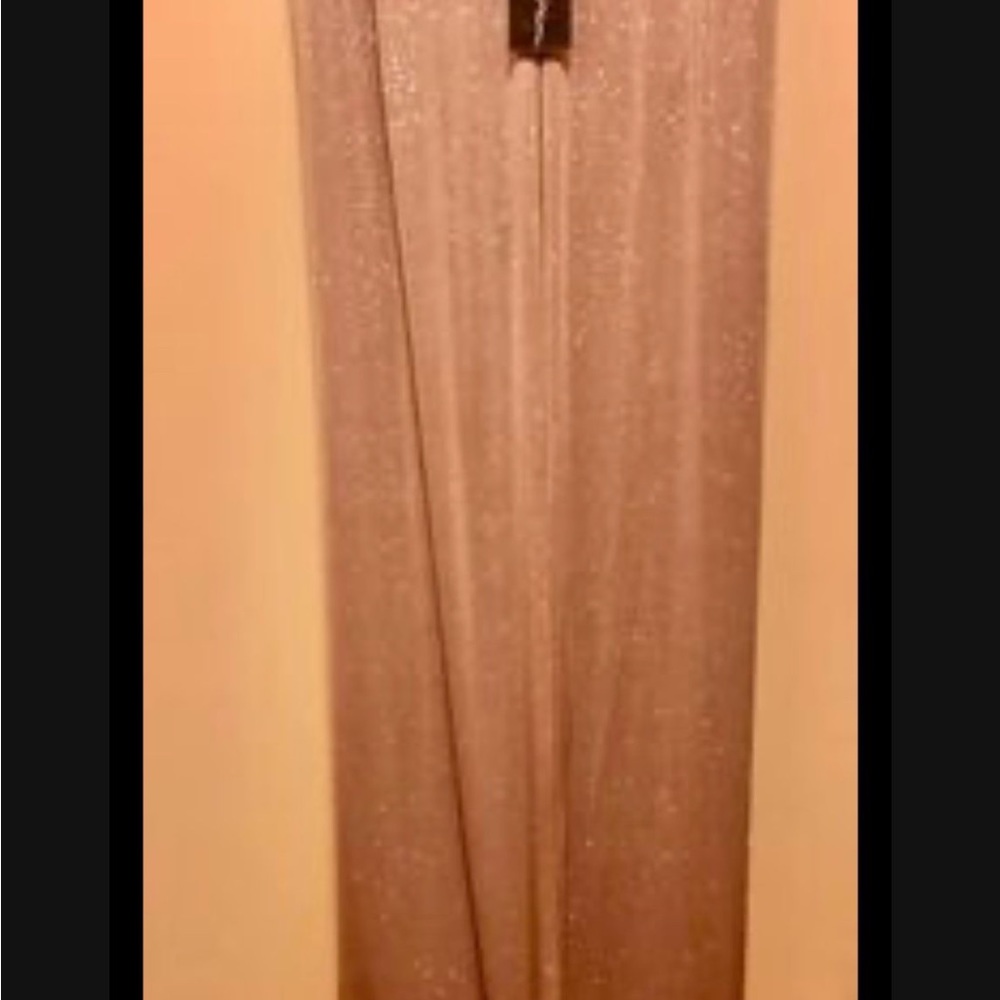 Beautiful sheer sparkly pants. Size L